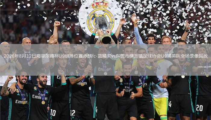 2026年8月12日海菲尔德杯U9组排位赛赤麟fc-蓝精灵vs东莞市横沥镇足球协会U9精英队全场录像回放