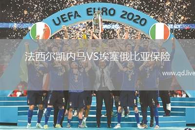 法西尔凯内马VS埃塞俄比亚保险