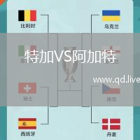 特加VS阿加特
