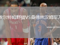埃尔特姆野猫VS桑德林汉姆军刀