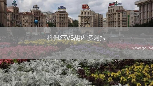 科佩尔VS胡内多阿拉