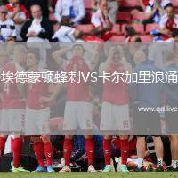 埃德蒙顿蜂刺VS卡尔加里浪涌