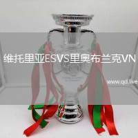 维托里亚ESVS里奥布兰克VN