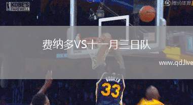 费纳多VS十一月三日队