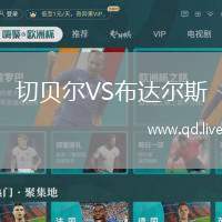 切贝尔VS布达尔斯