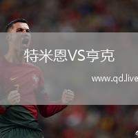 特米恩VS亨克