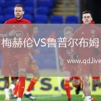 梅赫伦VS鲁普尔布姆