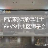 西部阿德莱德斗士VS中央区狮子会