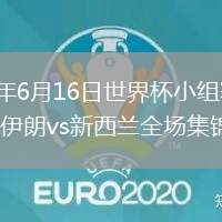 2026年6月16日世界杯小组赛G组第1轮伊朗vs新西兰全场集锦