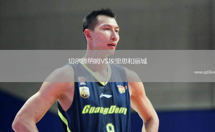 切尔滕纳姆VS埃里思和丽城