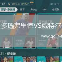 多瑙弗里德VS威特尔