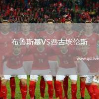 布鲁斯基VS费古埃伦斯