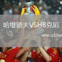 哈维德夫VSHB克厄