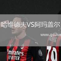 哈维德夫VS阿玛盖尔