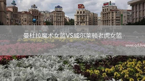 曼杜拉魔术女篮VS威尔莱顿老虎女篮