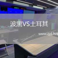 波黑VS土耳其