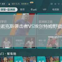 诺克斯袭击者VS埃尔特姆野猫
