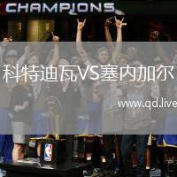 科特迪瓦VS塞内加尔