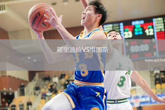 哥里迪拉VS维图斯