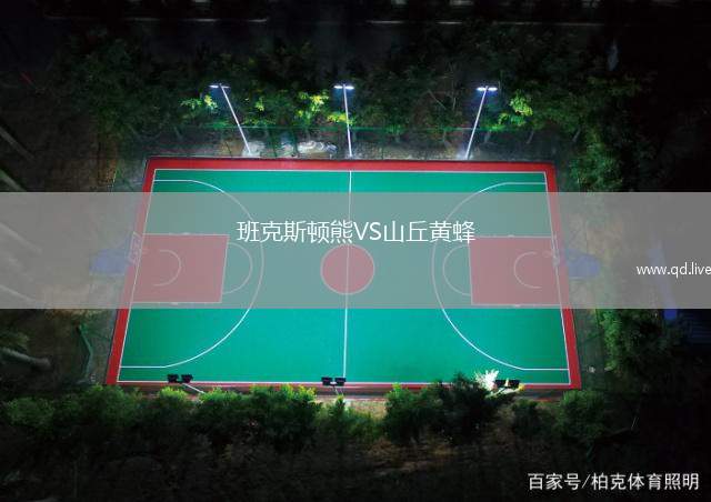 班克斯顿熊VS山丘黄蜂