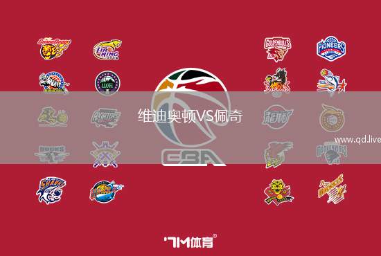 维迪奥顿VS佩奇