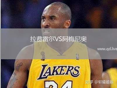 拉费雷尔VS阿梅尼奥