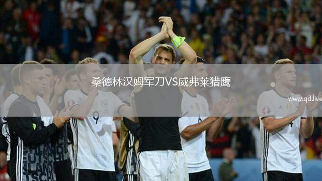桑德林汉姆军刀VS威弗莱猎鹰