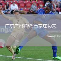 广东广州豹VS石家庄功夫