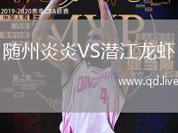 随州炎炎VS潜江龙虾