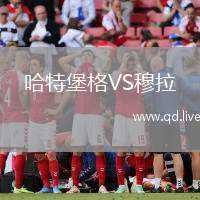哈特堡格VS穆拉