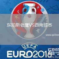 东珀斯老鹰VS西南骇客
