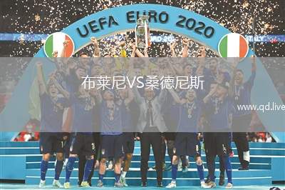 布莱尼VS桑德尼斯