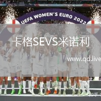 卡格SEVS米诺利