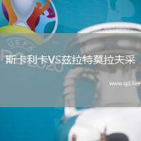 斯卡利卡VS兹拉特莫拉夫采