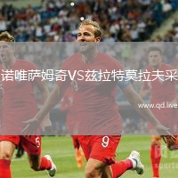 诺唯萨姆奇VS兹拉特莫拉夫采