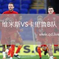维米斯VS卡里鲁B队