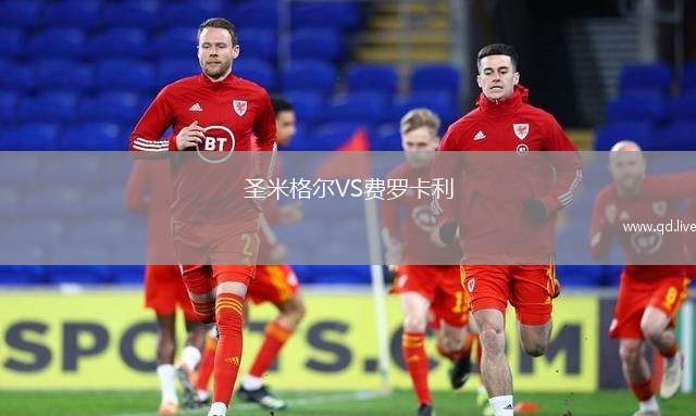 圣米格尔VS费罗卡利