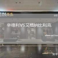 辛德利VS艾格纳比利克