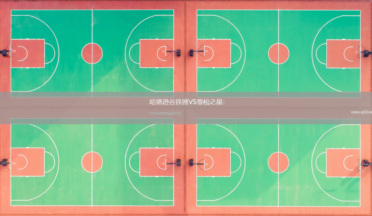 哈德逊谷铁锤VS雪松之星