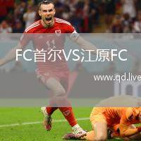 FC首尔VS江原FC