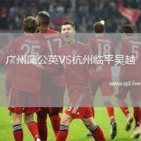 广州蒲公英VS杭州临平吴越