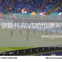 罗斯托克VS哈维德夫