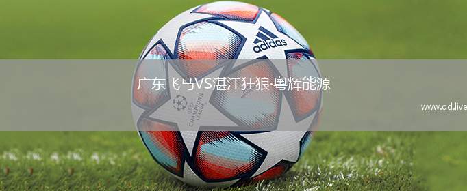 广东飞马VS湛江狂狼·粵辉能源