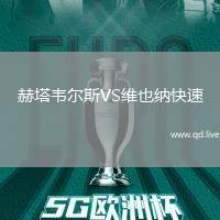 赫塔韦尔斯VS维也纳快速
