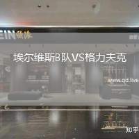 埃尔维斯B队VS格力夫克