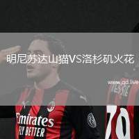 明尼苏达山猫VS洛杉矶火花