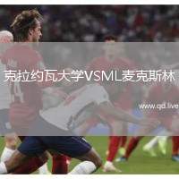 克拉约瓦大学VSML麦克斯林