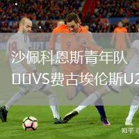 沙佩科恩斯青年队VS费古埃伦斯U20