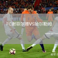 FC谢菲尔德VS哈尔勒姆
