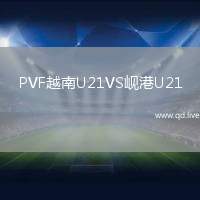 PVF越南U21VS岘港U21